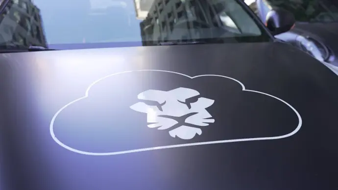 Cloud Lion Expectations Cloud Lion Logo